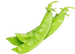 Parusan