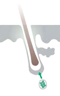 Parusan
